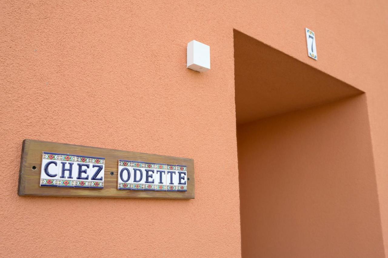 Chez Odette - Spa, Plancha, Parking Albi Dış mekan fotoğraf
